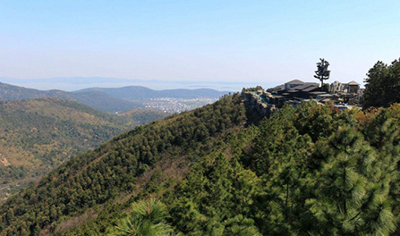 Ag���޼���(�й���)�ٷ���վ