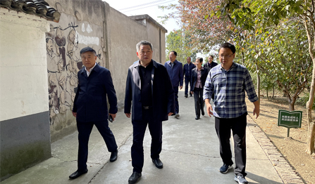 Ag���޼���(�й���)�ٷ���վ