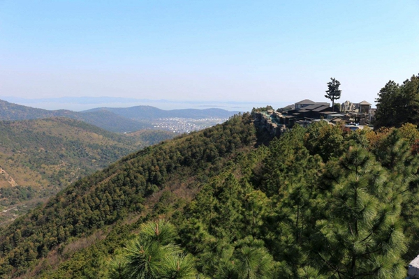 Ag���޼���(�й���)�ٷ���վ