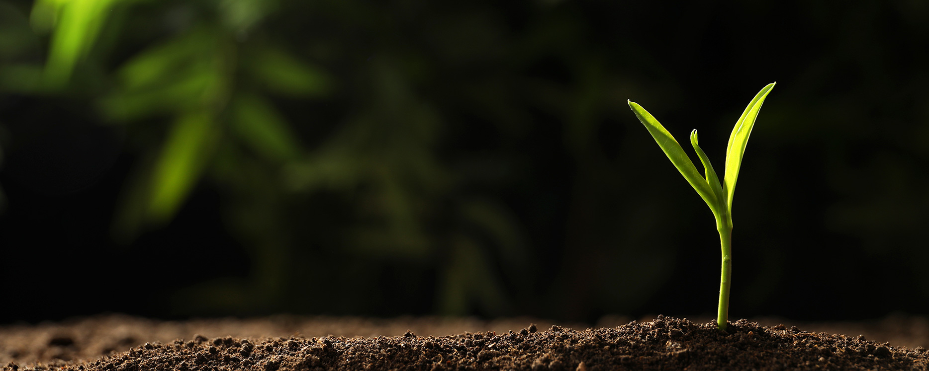 Ag���޼���(�й���)�ٷ���վ